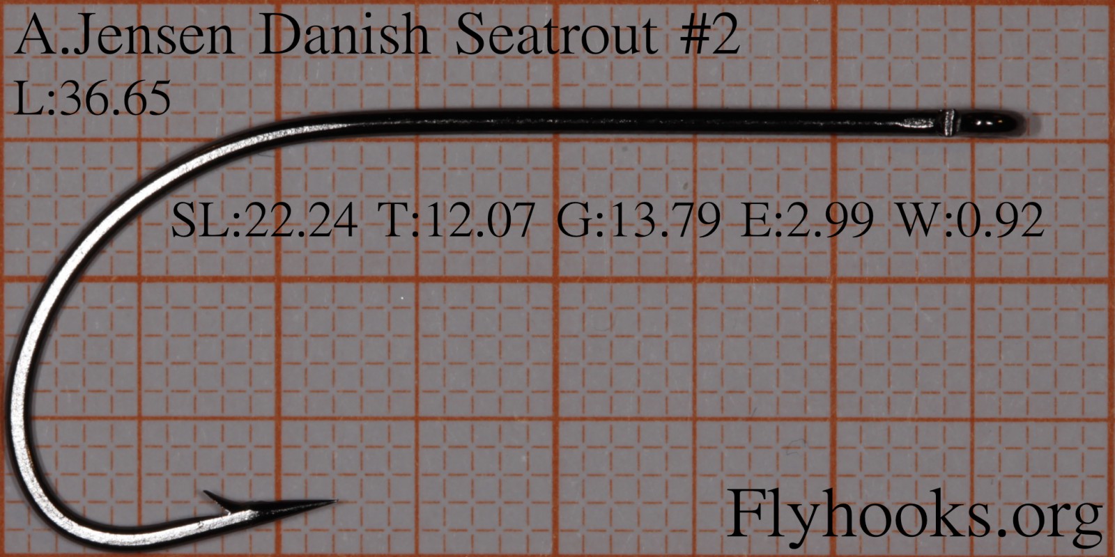 Danish Seatrout